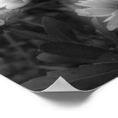 Blanket-Blume Schwarz-weißes Foto drucken Poster (Ecke)