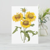 Blanket Blume Sonnenblumen von Redoute Einladung (Stehend Vorderseite)