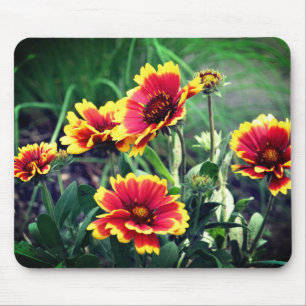 Blanket Daisy Flowers  Mousepad