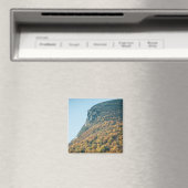 Blanket des Herbstes Magnet (In Situ (Geschirrspüler))