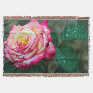 Blanket/Rosa Rose mit Morgenröte Decke