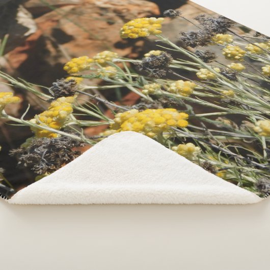 Blanket Sherpadecke (3/4)