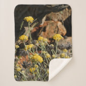 Blanket Sherpadecke (Vorderseite)