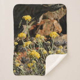 Blanket Sherpadecke