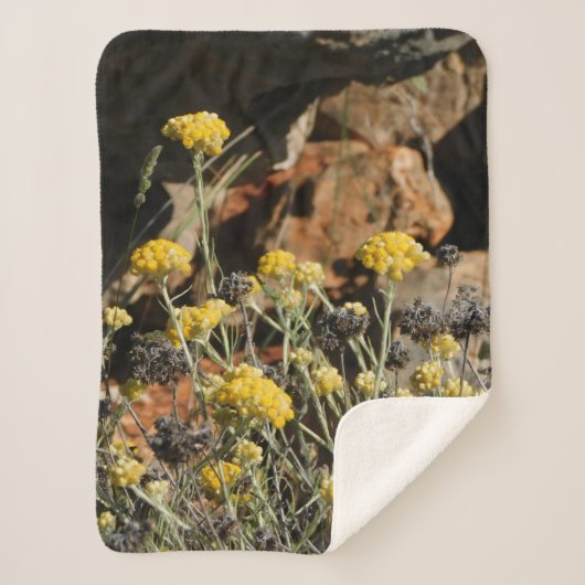 Blanket Sherpadecke (Vorderseite)