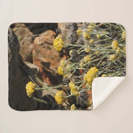 Blanket Sherpadecke (Vorderseite (Horizontal))