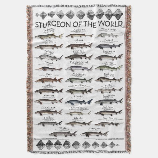 BLANKET - STURGEON OF THE WORLD POSTER - ERSTE JE DECKE (Vorderseite Vertikal)