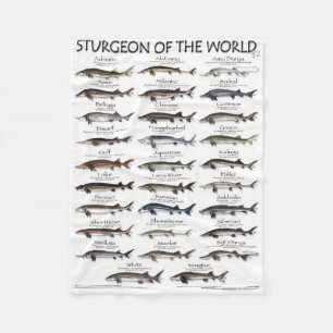 BLANKET - STURGEON OF THE WORLD POSTER - ERSTE JE FLEECEDECKE