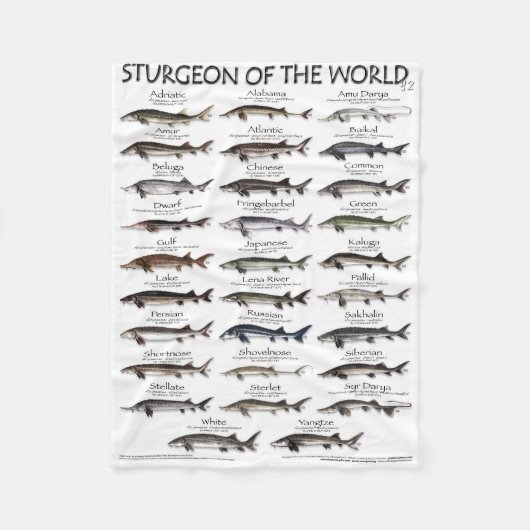 BLANKET - STURGEON OF THE WORLD POSTER - ERSTE JE FLEECEDECKE (Vorderseite)