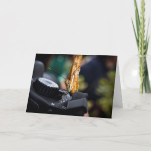 Blankkarte für Schmetterlingsfotografen Karte