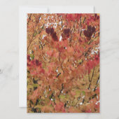 Blankoeinladung fallen farbige Blätter Einladung (Rückseite)