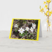 Blankokarte Bloodroot II Karte (Gelbe Blume)