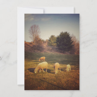 Blankokarte Dankeskarte