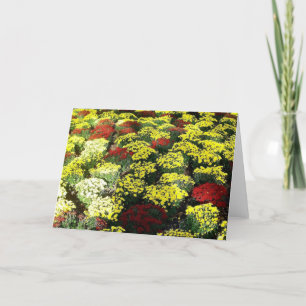 'Blankokarte der Blume im Herbst Karte