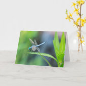 Blankokarte des Blanken-Drachenfliegens Karte (Gelbe Blume)