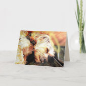 Blankokarte des Schlafkreises Karte (Vorderseite)