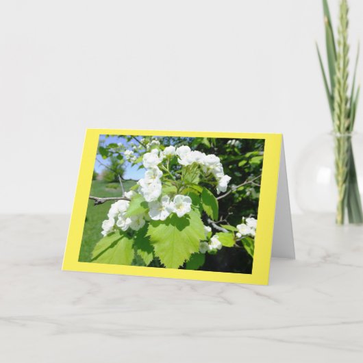 Blankokarte für Blume im Hawthorn Karte (Vorderseite)