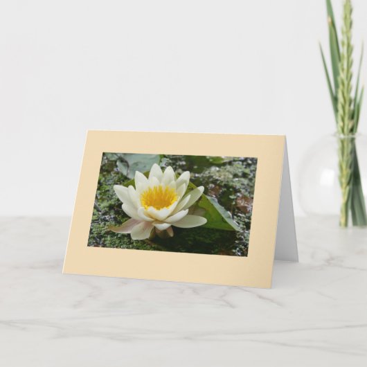 Blankokarte Karte (Vorderseite)