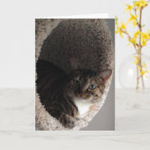 Blankokarte Karte (Gelbe Blume)