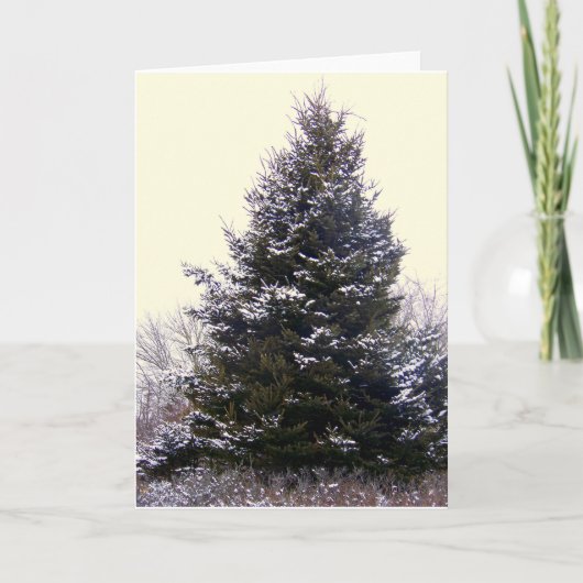 Blankokarte "Maine" Feiertagskarte (Vorderseite)