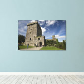 Blarney Castle, Irland Leinwanddruck (Insitu (Holzboden))
