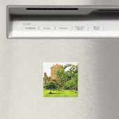 Blarney Castle, Irland Magnet (In Situ (Geschirrspüler))