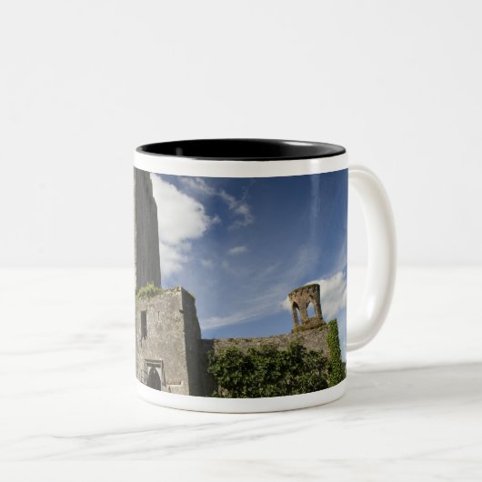 Blarney Castle, Irland Zweifarbige Tasse (VorderseiteRechts)