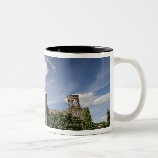 Blarney Castle, Irland Zweifarbige Tasse (Rechts)