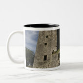 Blarney Castle, Irland Zweifarbige Tasse (Links)