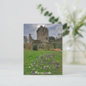 Blarney Castle, Landkreis Cork, Irland Postcard Postkarte (Stehend Vorderseite)