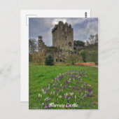 Blarney Castle, Landkreis Cork, Irland Postcard Postkarte (Vorne/Hinten)