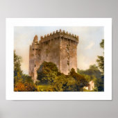 Blarney Castle, Landkreis Cork, Irland Poster (Vorne)