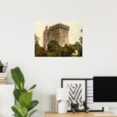 Blarney Castle, Landkreis Cork Poster (Heimbüro)