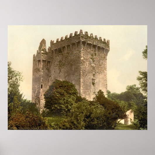 Blarney Castle, Landkreis Cork Poster (Vorne)