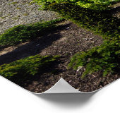 Blarney Castle Poster (Ecke)