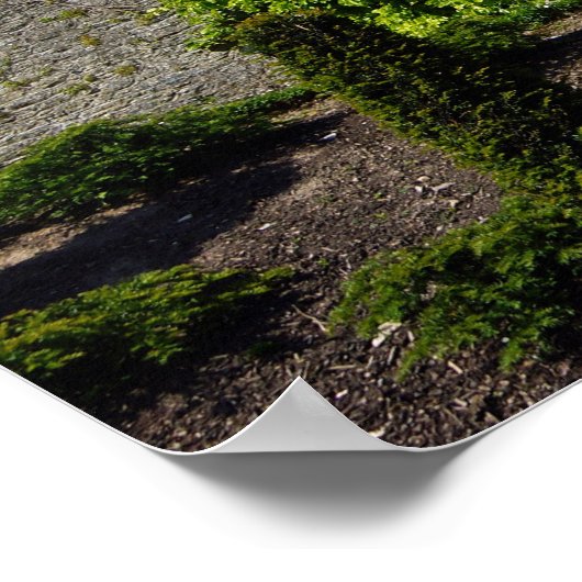 Blarney Castle Poster (Ecke)