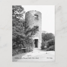 Blarney Castle Tower Postkarte