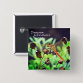 Bläschen Button (Vorne & Hinten)