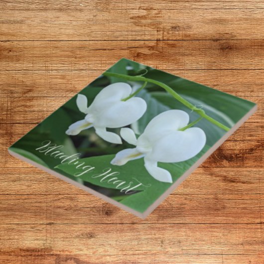 Bläschenblutung Fliese