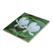 Bläschenblutung Fliese (Seite)