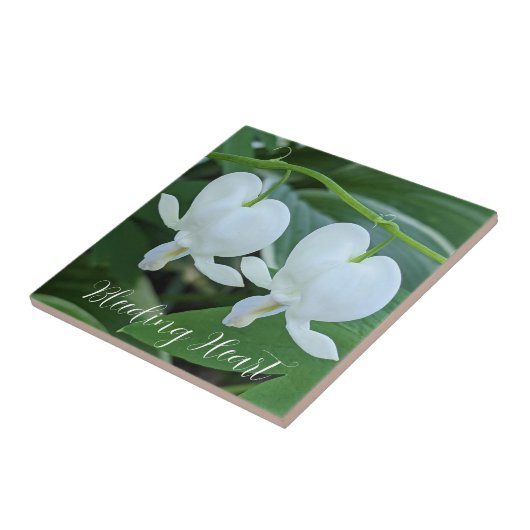 Bläschenblutung Fliese (Seite)