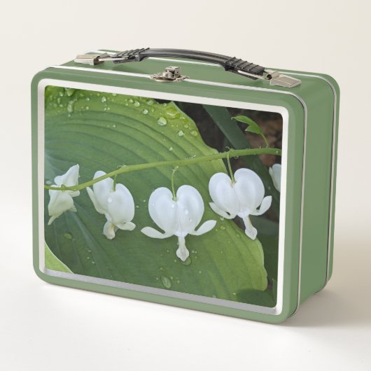 Bläschenblutung Metall Brotdose (Vorderseite)