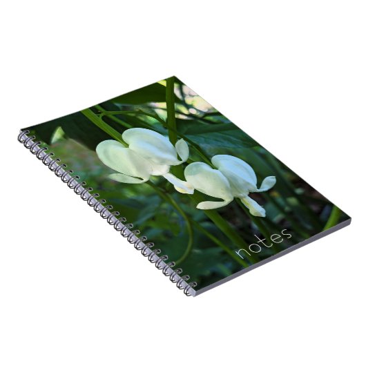 Bläschenblutung Notizblock (Rechte Seite)