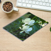 Bläschenblutung Notizblock