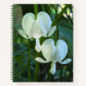 Bläschenblutung Notizblock (Vorderseite)