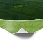 Bläschenblutung Poster (Ecke)