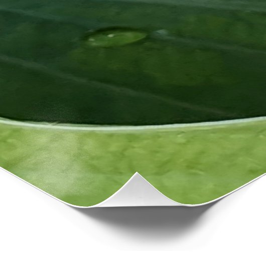 Bläschenblutung Poster (Ecke)