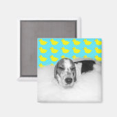 Blase Bath-Liebe Magnet (Vorderseite/Rückseite)