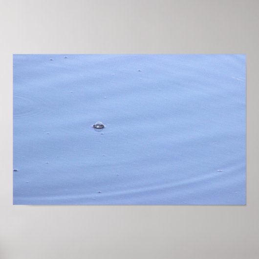 Blase in Poster (Vorne)