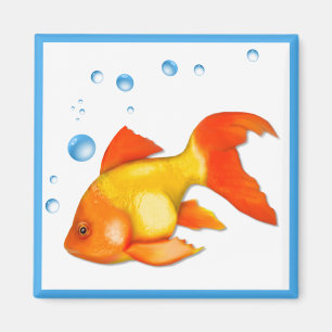Blasen die Goldfish Magnet